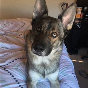 Meet your Posher, Ayla